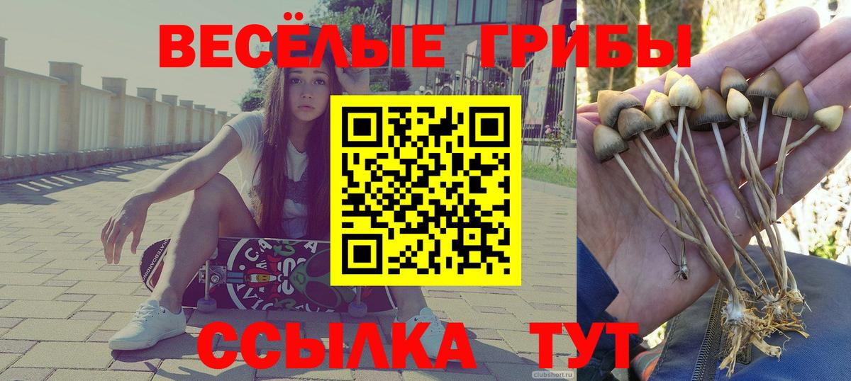 Галлюциногенные грибы MAGIC MUSHROOMS Алексин